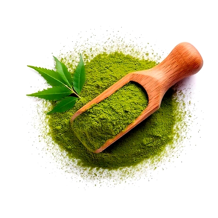 Neem Leaves Powder-2