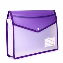 flexi document bag transparent