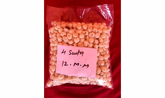 Raw Foxnut/Makhana - 4 Suta