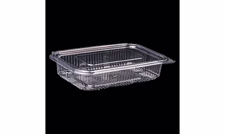 Master Packaging: Clear Plastic Hinged Containers, 500 ml