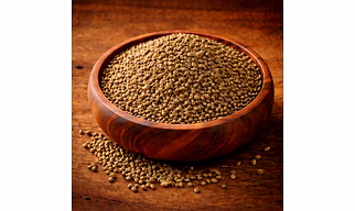 Carom Seeds (Ajwain) - Bulk Wholesale Supply for importers, wholesalers & food brands for international buyers