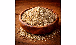 Pearl Millet (Bajra) - Bulk Wholesale Supply for importers, wholesalers & food brands for international buyers