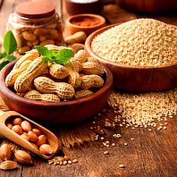 Oil Seeds for B2B Sourcing