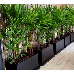 bvd rectangular fibreglass planter pot