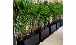 Rectangular Fibreglass Planter Pot