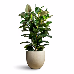 bvd round fiberglass planter pot