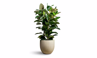 Round Fiberglass Planter Pot
