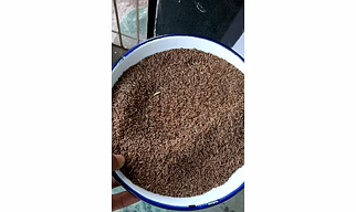 Caraway Seeds