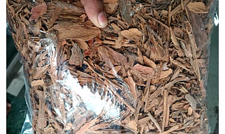 Ceylon Cinnamon Qullings