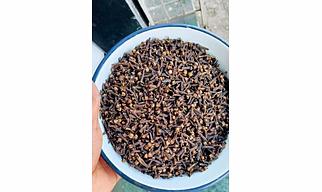 Cloves