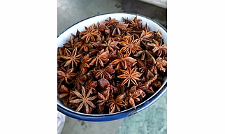Star Aniseed