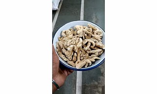 Dry Ginger