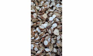 Dried Zedory Roots