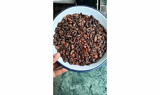 Broken Star Anise