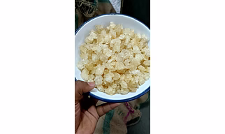 Gum Karai (Gond Katira)