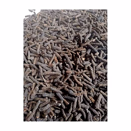 rskp long pepper (pipla)