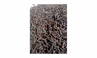 Long pepper (Pipla)