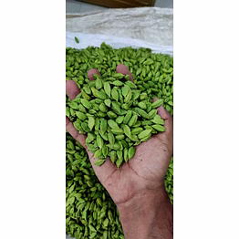 rskp green cardamom