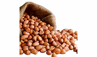 groundnuts seeds
