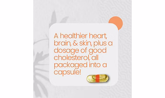 Omega Flexseed Oil Capsule 100 Capsule per Bottle