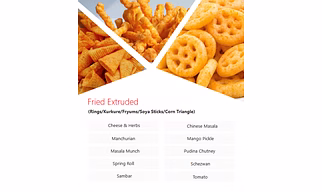 Fried Extruded Snacks Seasonings