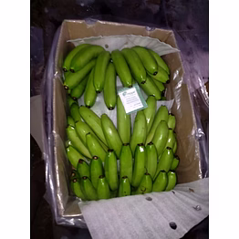 banana (g9)