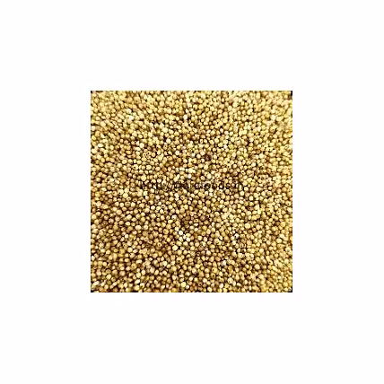 KODO MILLET-2