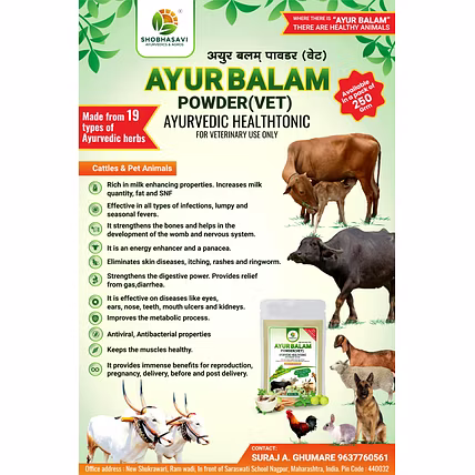 AYUR BALAM PRODUCT (VET)-1