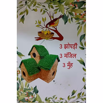Natural and edible bird nest ,three Huts-12733865