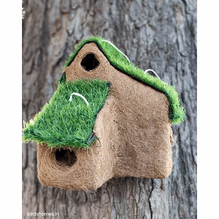 Natural and edible bird nest ,three Huts-1