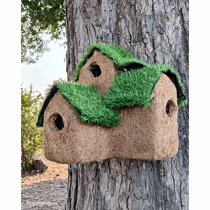 Natural and edible bird nest ,three Huts-2