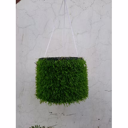 Natural and edible bird nest , hanging bowl-1