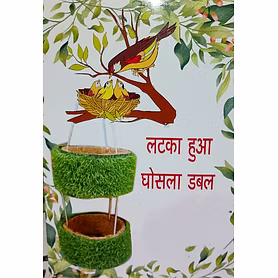 Natural and edible bird nest , hanging bowl