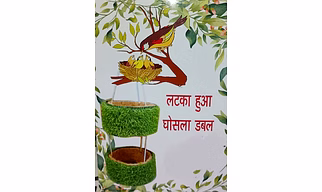 Natural and edible bird nest , hanging bowl