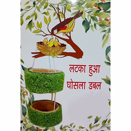 Natural and edible bird nest , hanging bowl-12733889