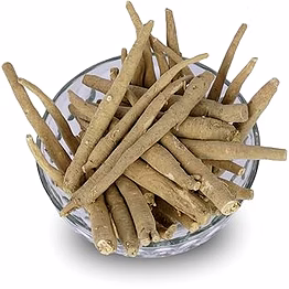 ashwagandha dry roots (withania somnifera) premium-quality herbal raw material