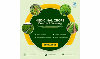 Medicinal Plants Contract Farming and Buyback Agreement Service