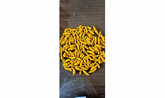 Turmeric Finger