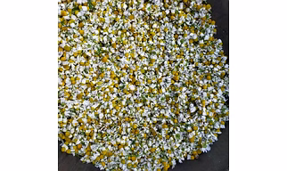 Dried Chamomile Flower