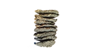 Cow Dung