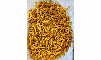 A1 Grade Turmeric Finger and Bulb