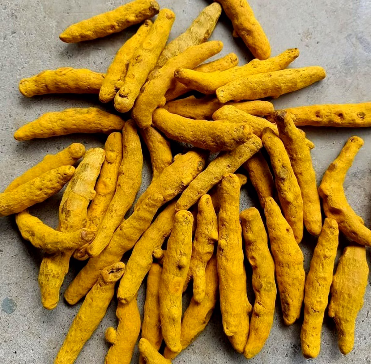 A1 Grade Turmeric Finger and Bulb image 2