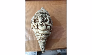 Ganesh Shankh Plain