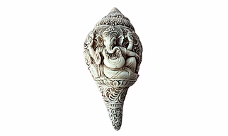 Ganesh Shankh Plain