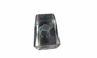 3D Laser Engraved Camel Crystal Block