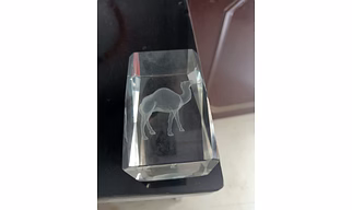3D Laser Engraved Camel Crystal Block