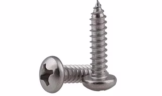Pan Philips Self Tapping Screw