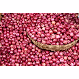 fresh onion