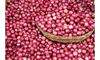 Fresh Onion
