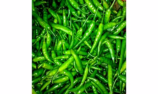 Fresh Green Chilli